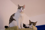 _MG_1727-2