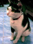 Image020-2