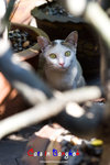 _MG_0013-2