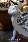 _MG_0018-2