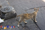 _MG_0035-2