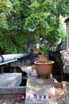 _MG_9787-2