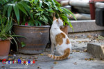 _MG_9788-2