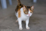 _MG_8945-2