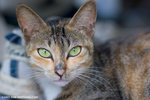 _MG_8949-2