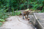 _MG_8967-2