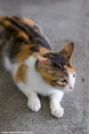 _MG_8978-2