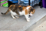 _MG_8986-2