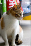 _MG_8992-2