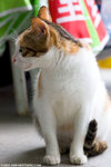 _MG_8994-2