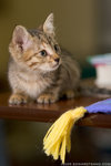 _MG_0613-2