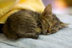 _MG_0695-2