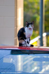 _MG_2431-2