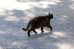 _MG_2600-2