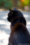 _MG_2606-2