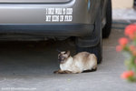 _MG_2721-2