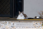 _MG_2725-2