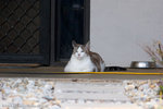 _MG_2726-2