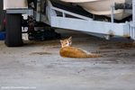 _MG_2729-2