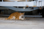 _MG_2734-2