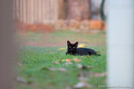 _MG_2737-2