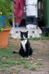 _MG_2738-2
