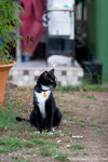 _MG_2739-2