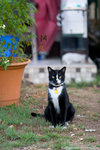 _MG_2740-2