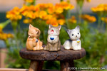 _MG_4986-2