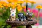 _MG_4990-2