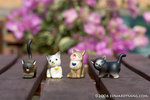 _MG_4993-2