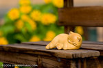 _MG_4995-2