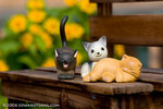 _MG_4996-2