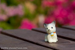 _MG_5006-2