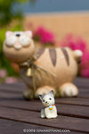 _MG_5012-2