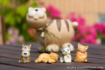 _MG_5015-2