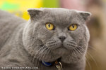 _MG_2637-2