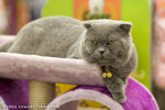 _MG_2649-2
