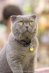 _MG_2662-2
