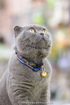 _MG_2664-2