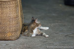 _MG_0874-2