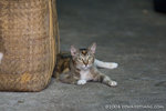 _MG_0880-2