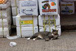 _MG_1079-2