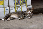 _MG_1084-2