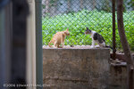 _MG_1094-2