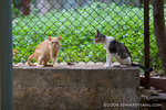 _MG_1097-2