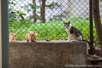 _MG_1102-2