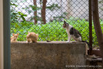 _MG_1103-2