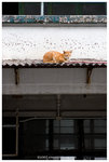 _MG_1669-2