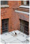 _MG_1686-2